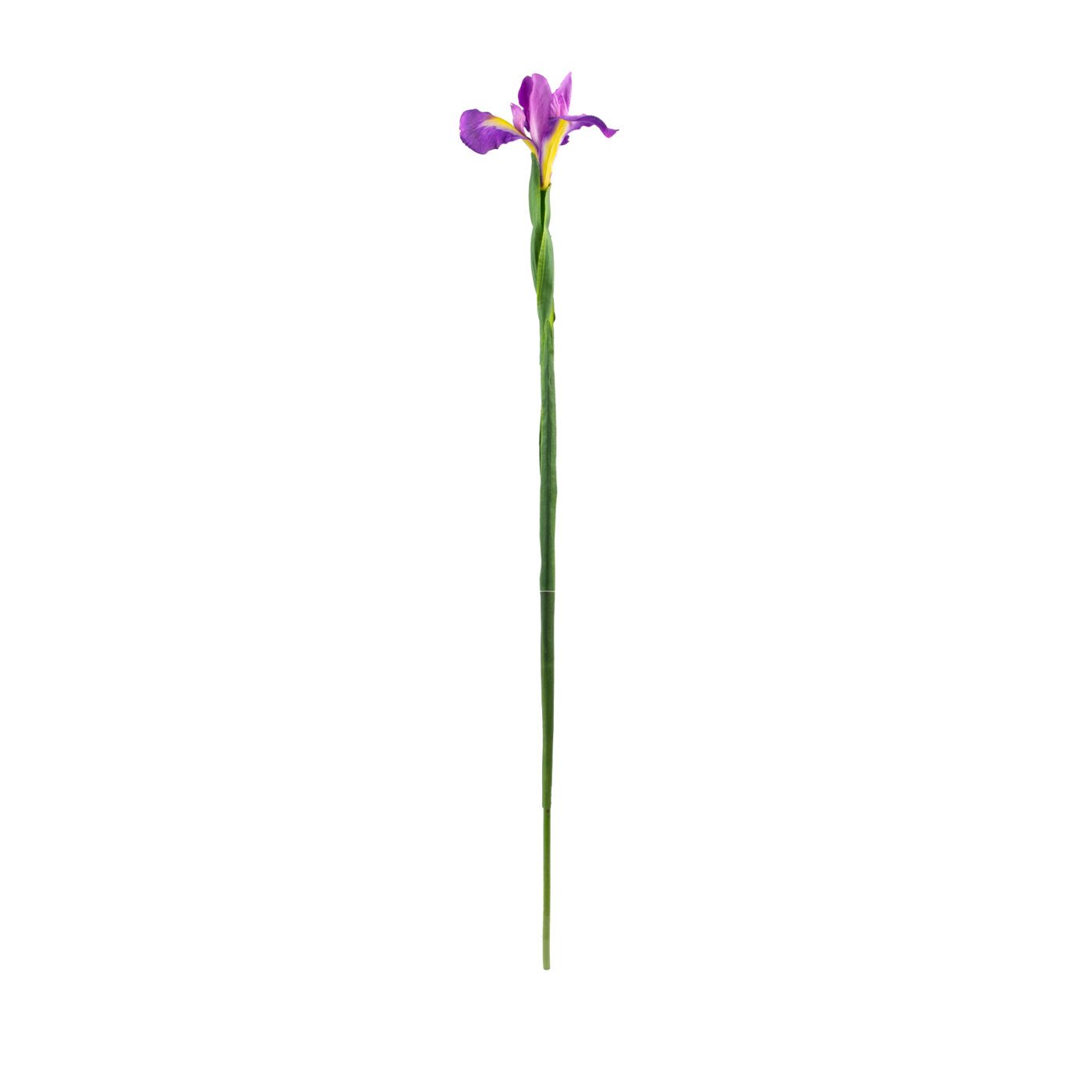 Purple Iris Flower Spray with Leaves – 78cm Artificial Stem