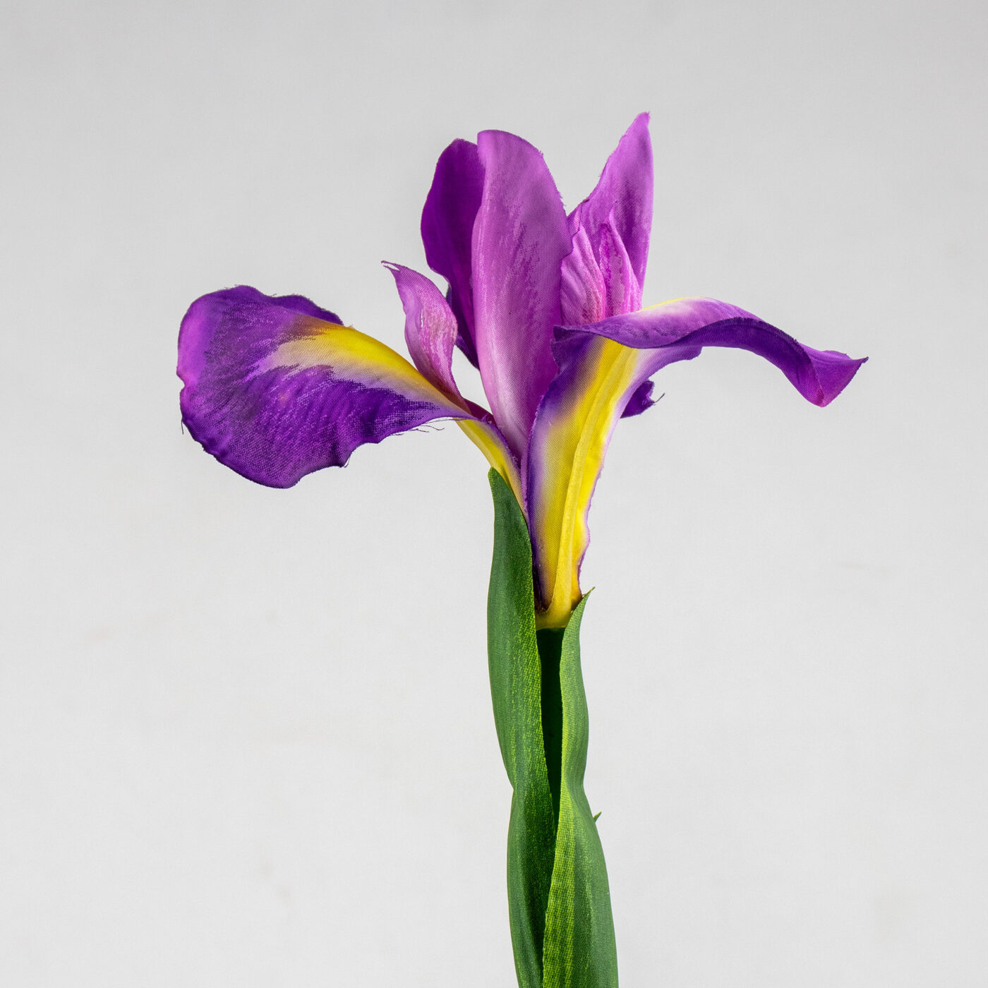Purple Iris Flower Spray with Leaves – 78cm Artificial Stem