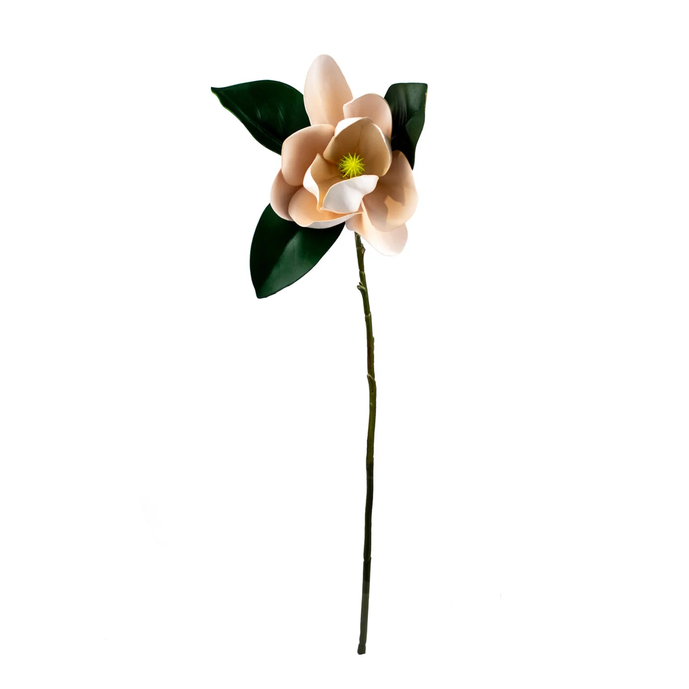 MAGNOLIA STEM OPEN PINK 66CM