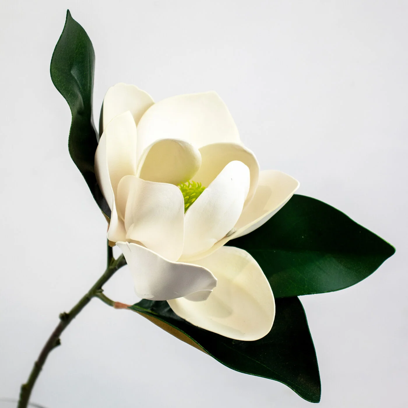 MAGNOLIA STEM OPEN WHITE 66CM