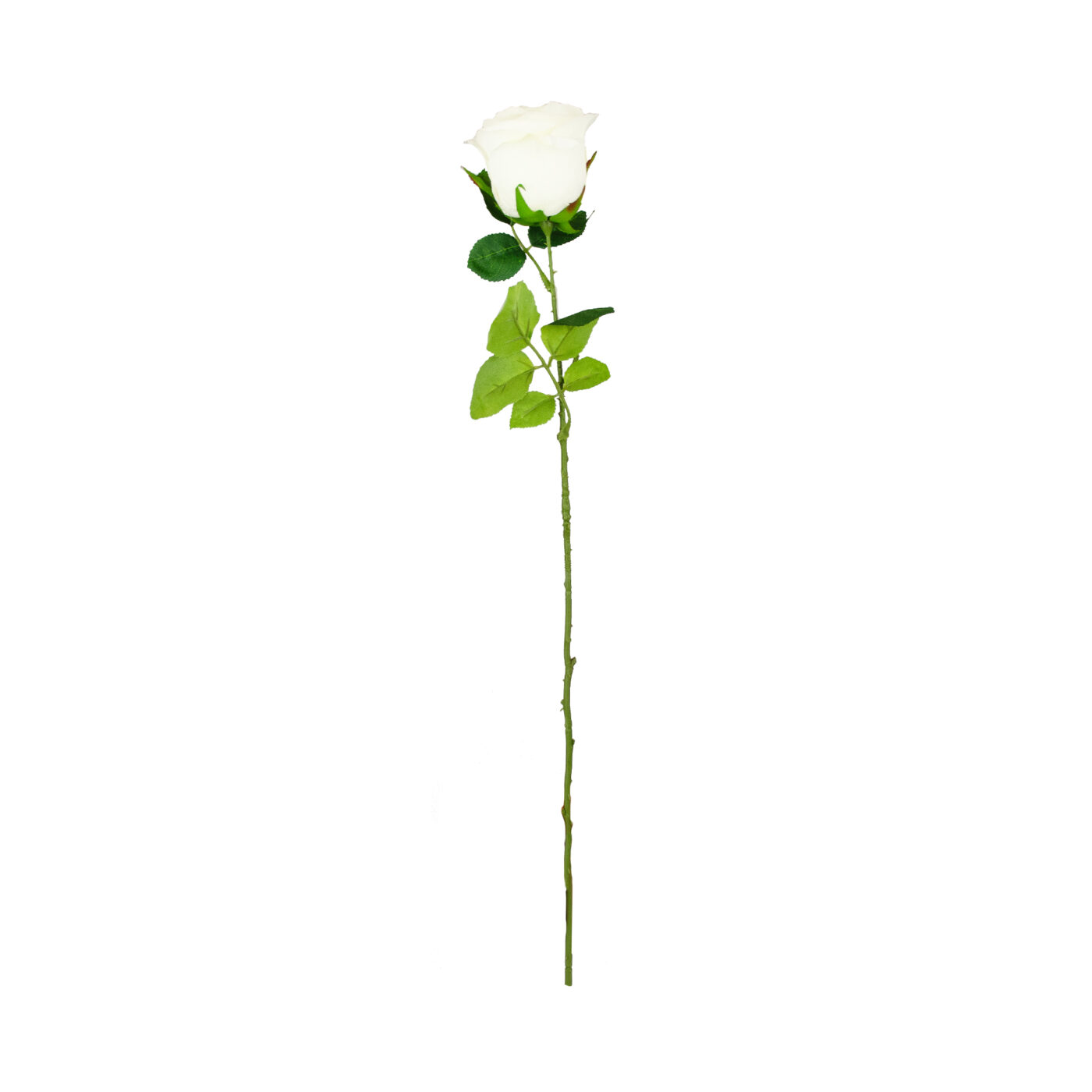 ROSE HALF OPEN STEM CREAM - 60CM