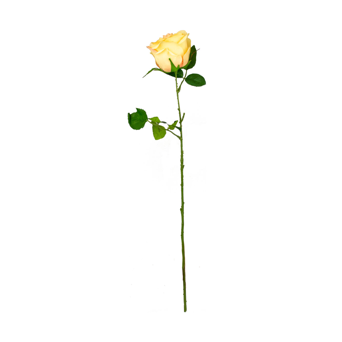ROSE HALF OPEN STEM PEACH - 60CM
