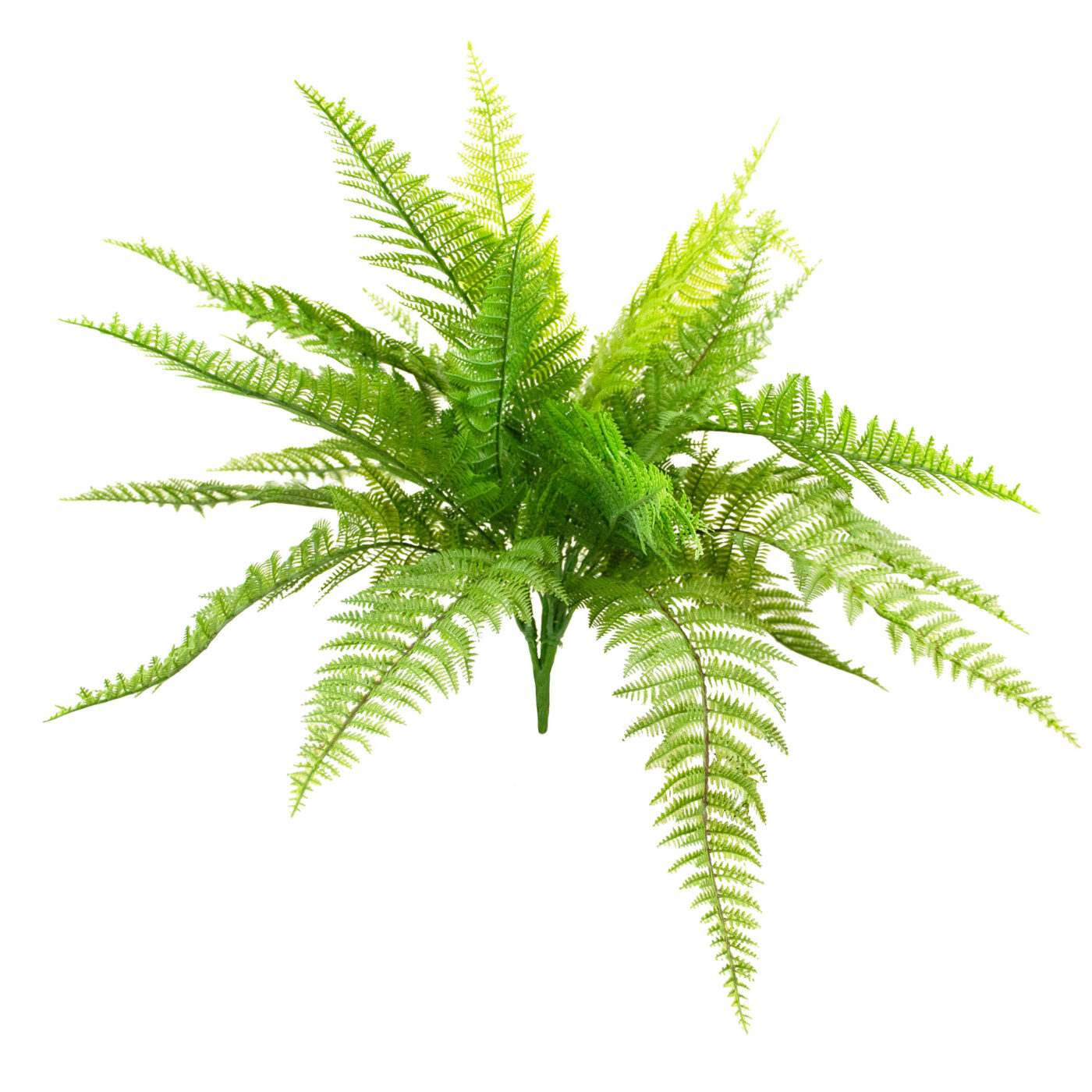 SWORD FERN BUSH PICK GREEN - 44CM