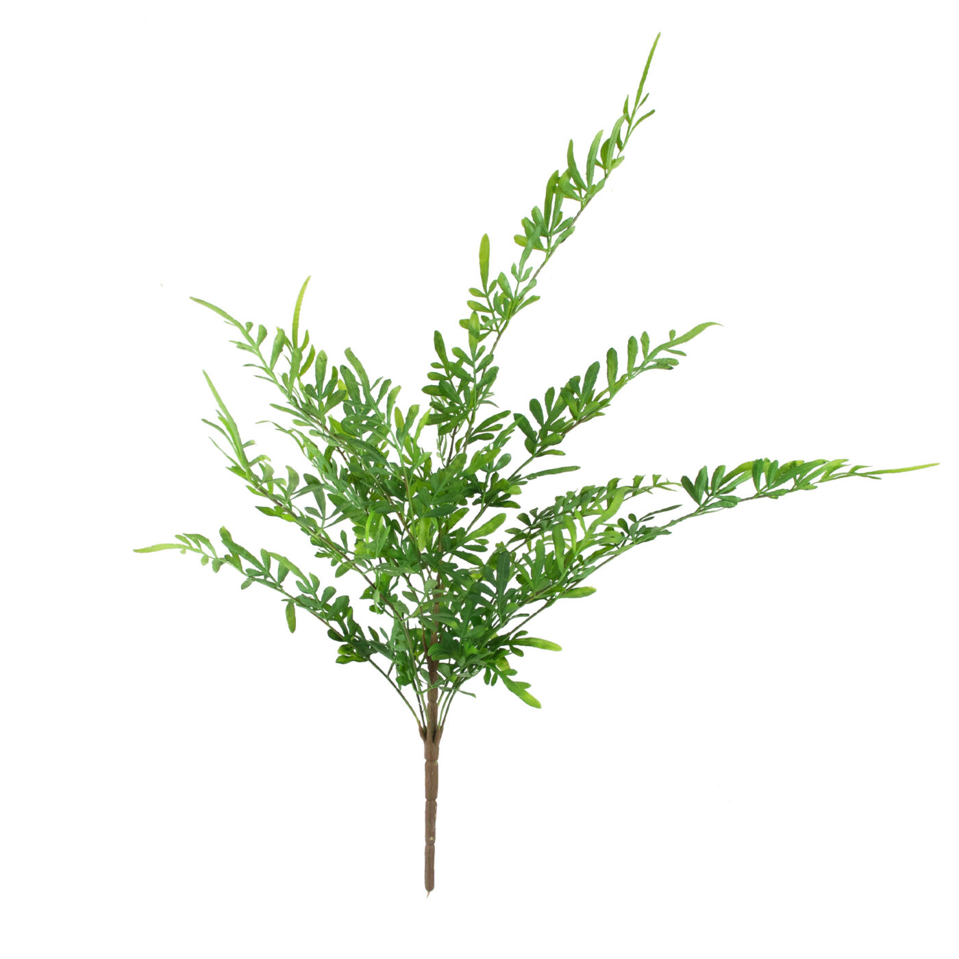 SWORD FERN BUSH 44CM GREEN