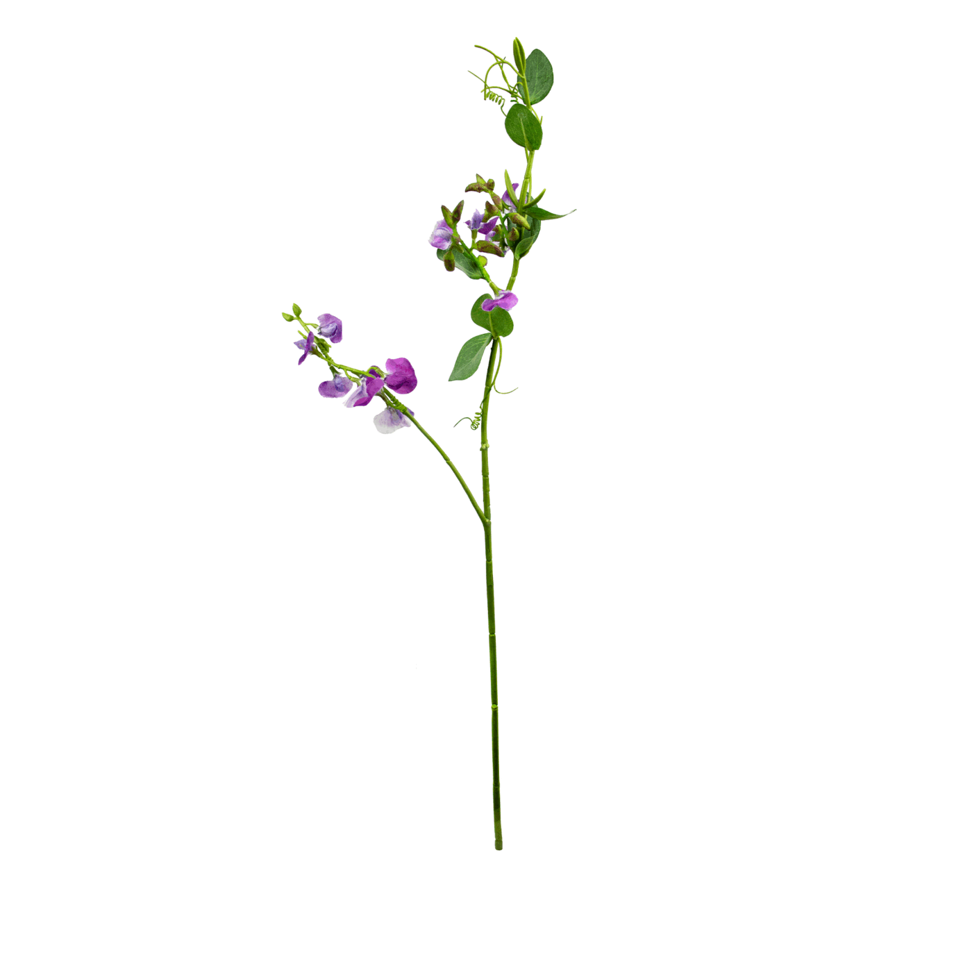 SWEETPEA SPRAY 69CM PURPLE