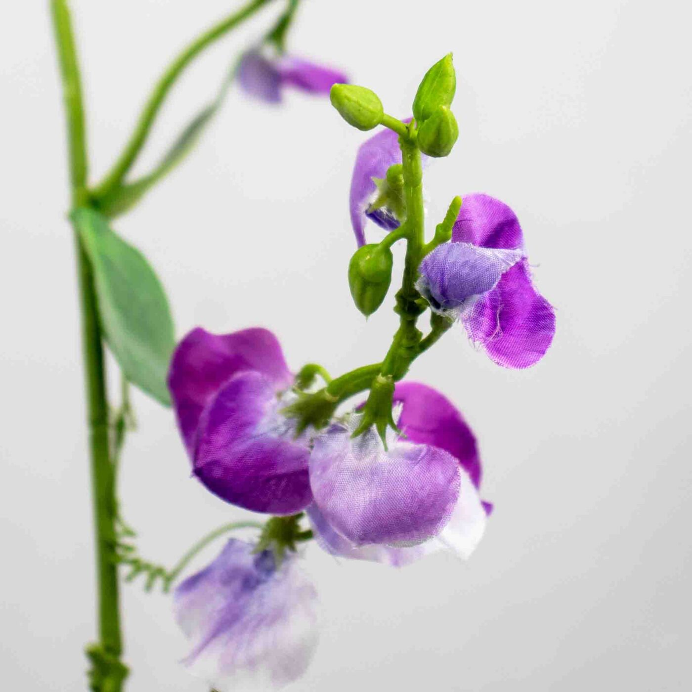 SWEETPEA SPRAY 69CM PURPLE