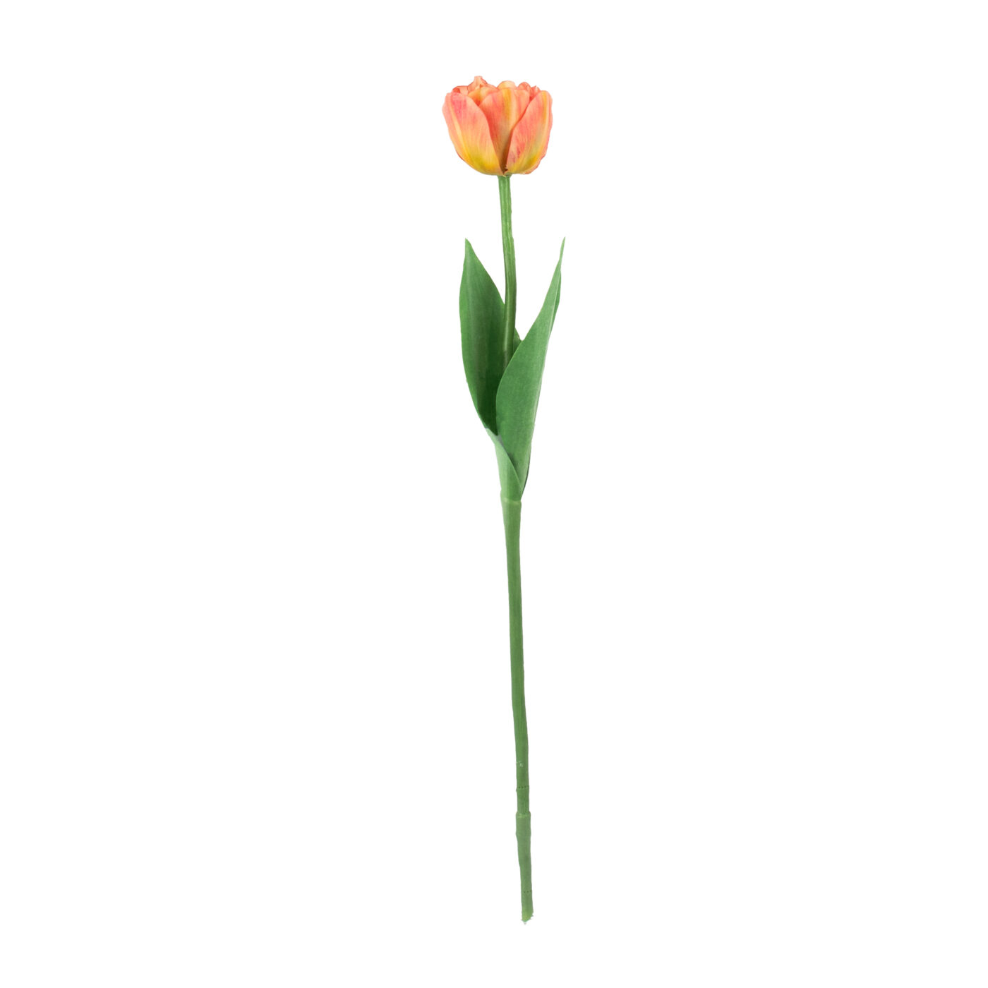Parrot Tulip Stem with Leaves - PINK 52CM