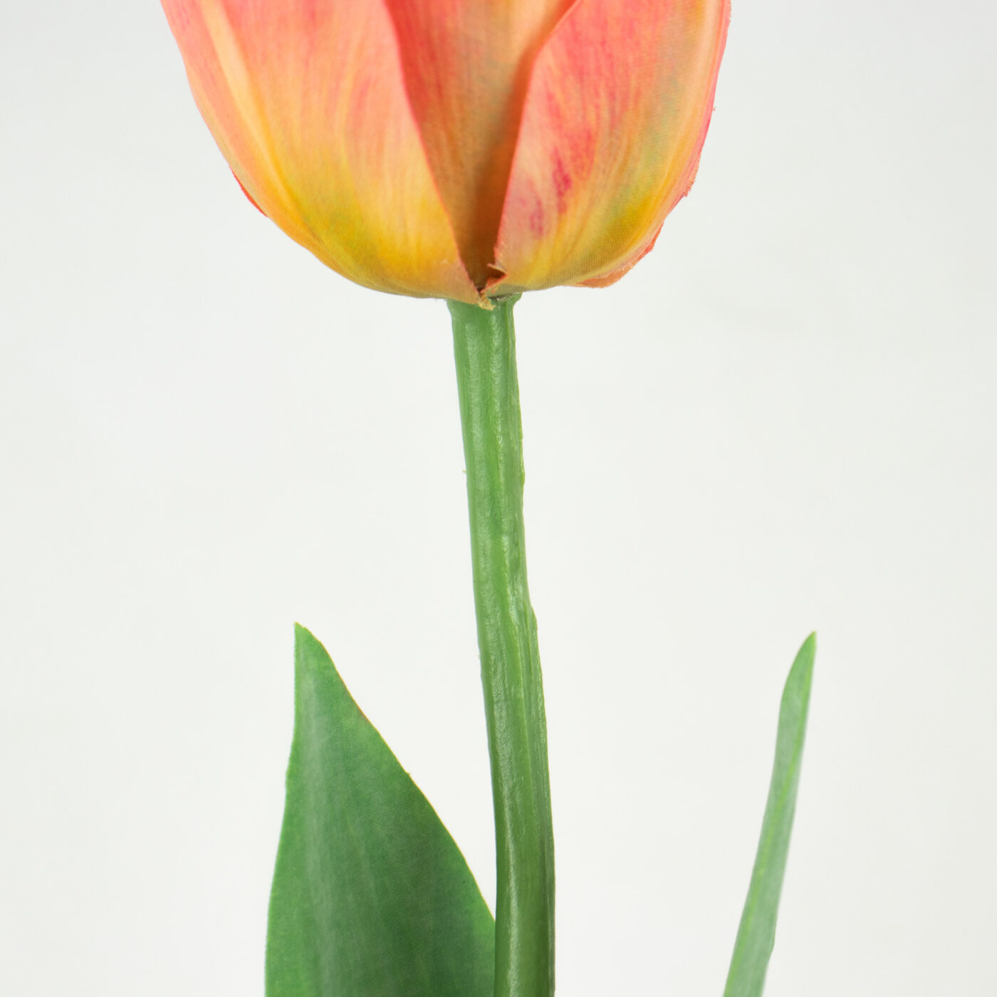 Parrot Tulip Stem with Leaves - PINK 52CM