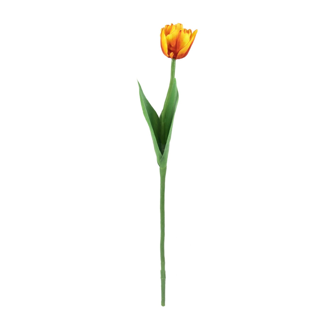 Parrot Tulip Stem with Leaves - YEL/ORG 52CM