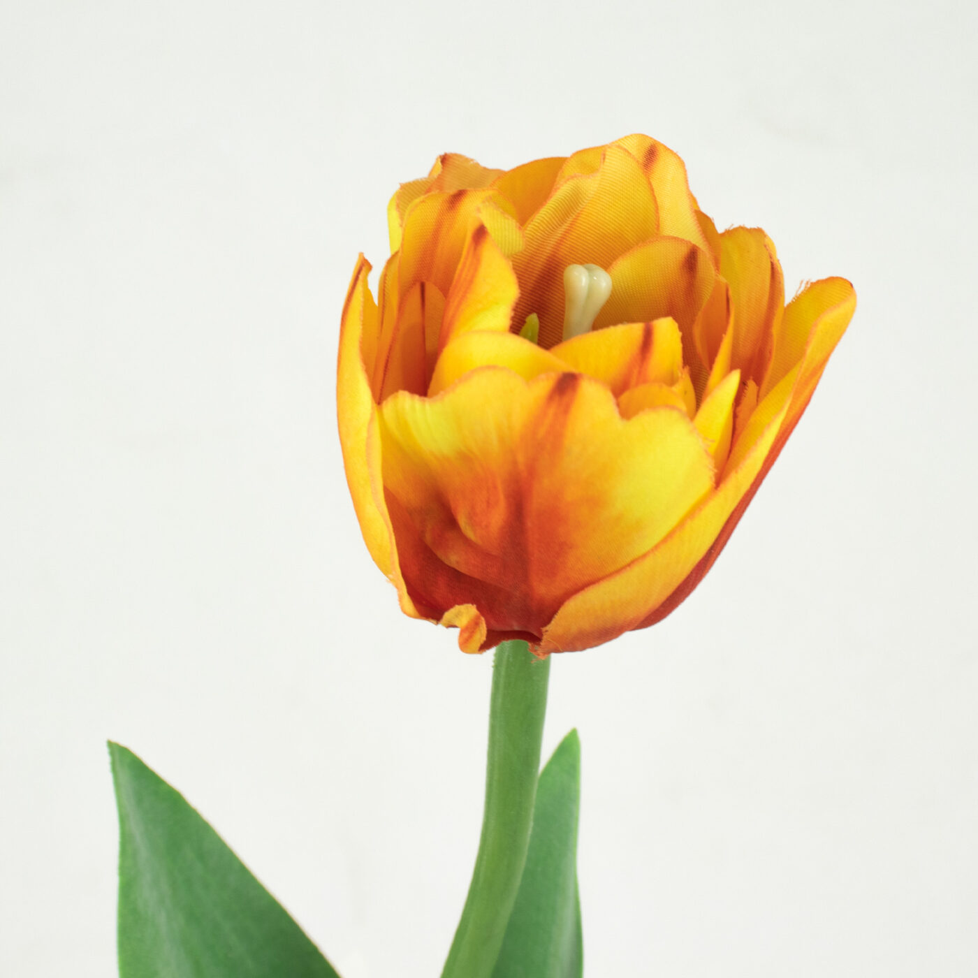 Parrot Tulip Stem with Leaves - YEL/ORG 52CM