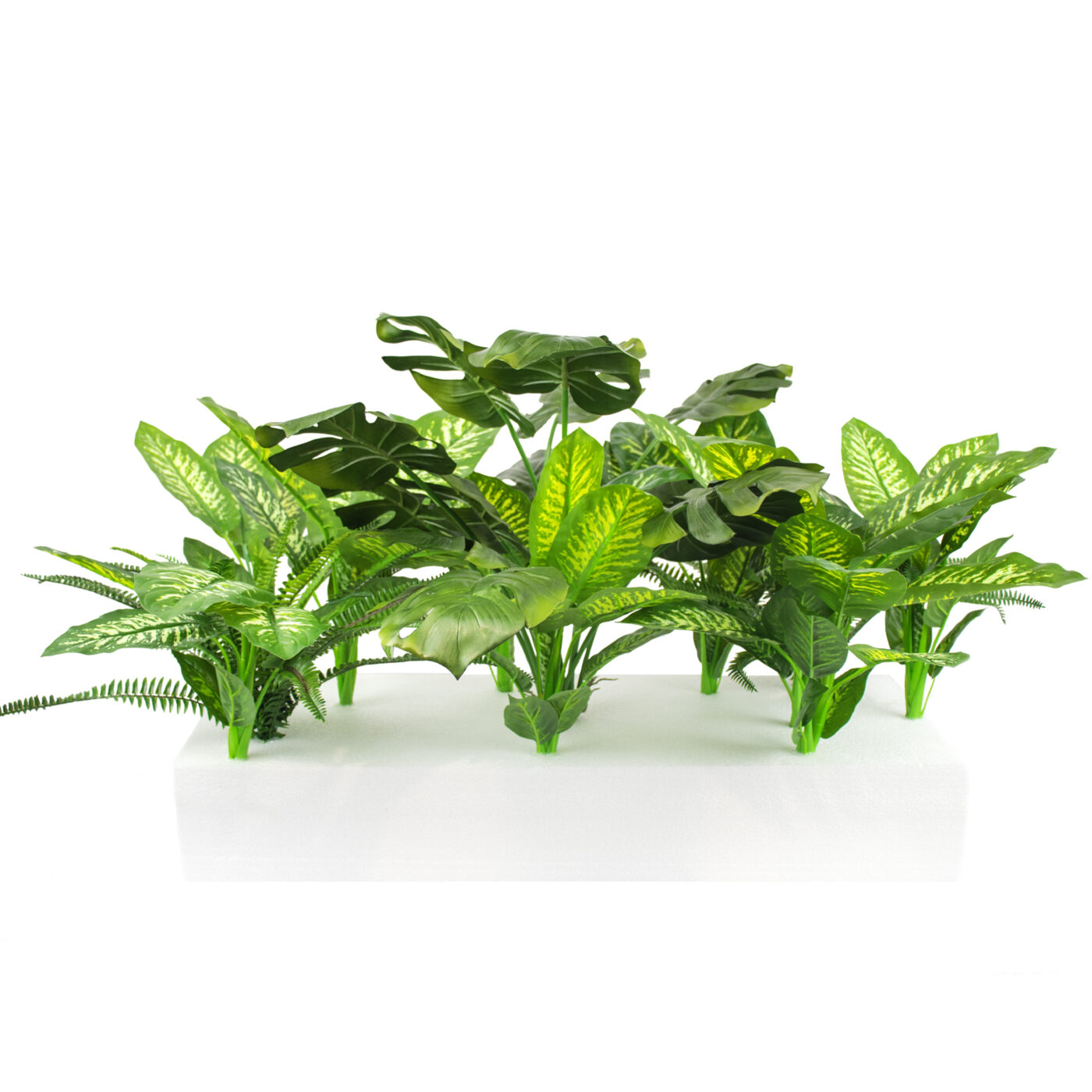 MIXED PLANTS IN POLY TRAY PER METER - Image 9