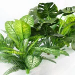 Mixed Greenery for horizontal planters