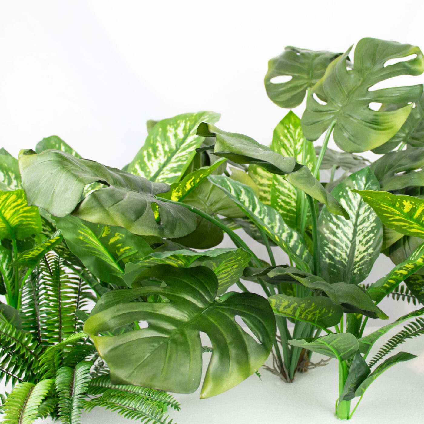 MIXED PLANTS IN POLY TRAY PER METER - Image 11
