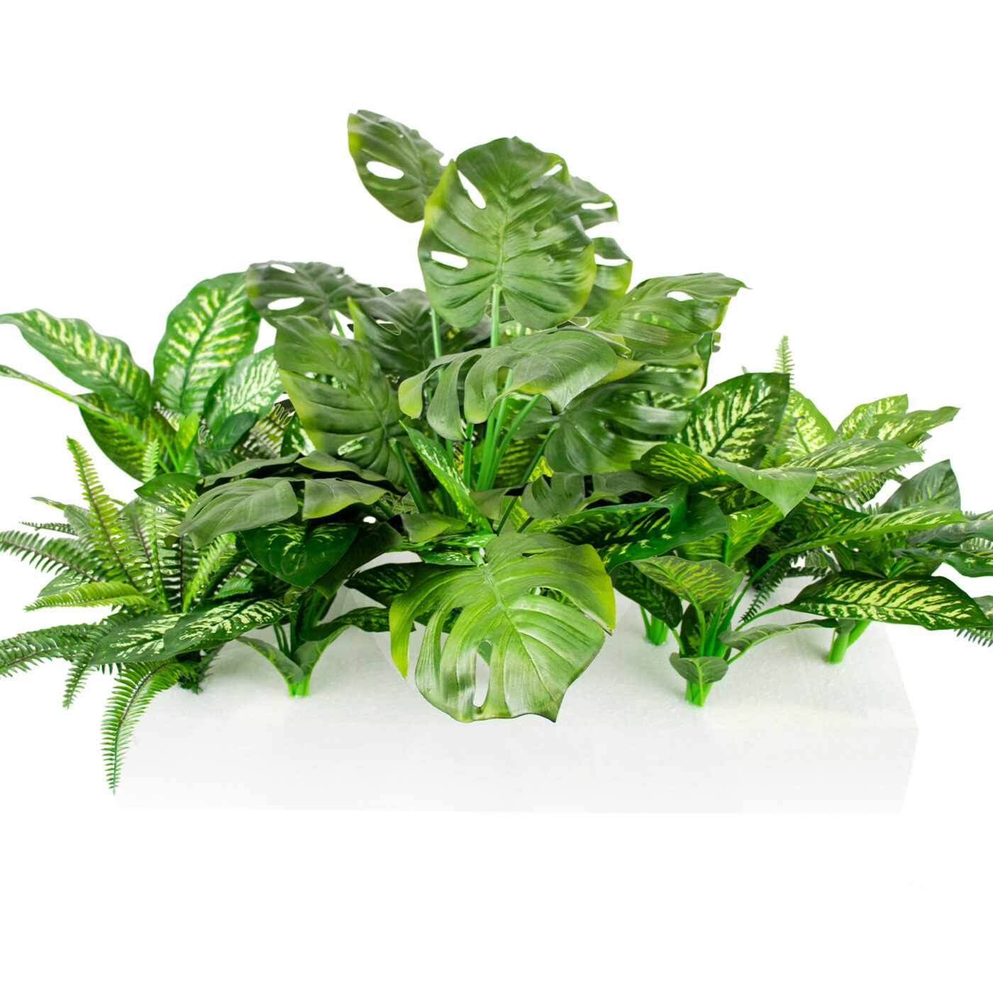 MIXED PLANTS IN POLY TRAY PER METER - Image 10