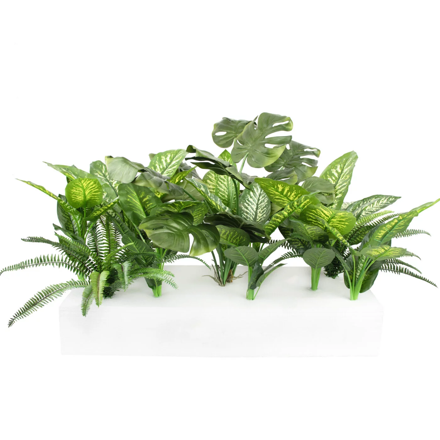 MIXED PLANTS IN POLY TRAY PER METER - Image 8