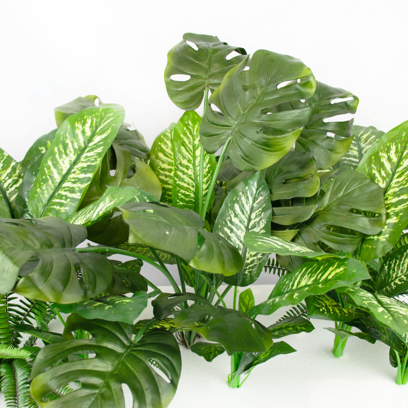 MIXED PLANTS IN POLY TRAY PER METER - Image 7