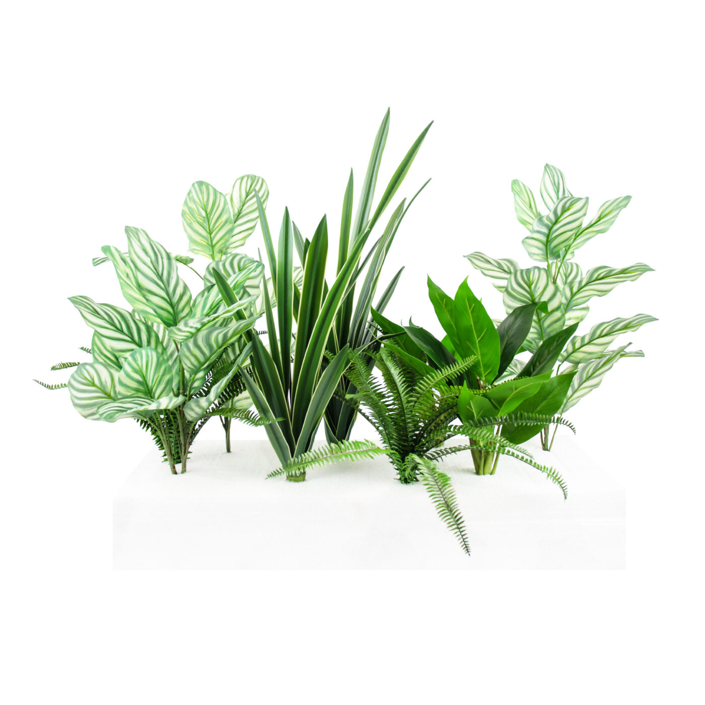 MIXED PLANTS IN POLY TRAY PER METER - Image 2