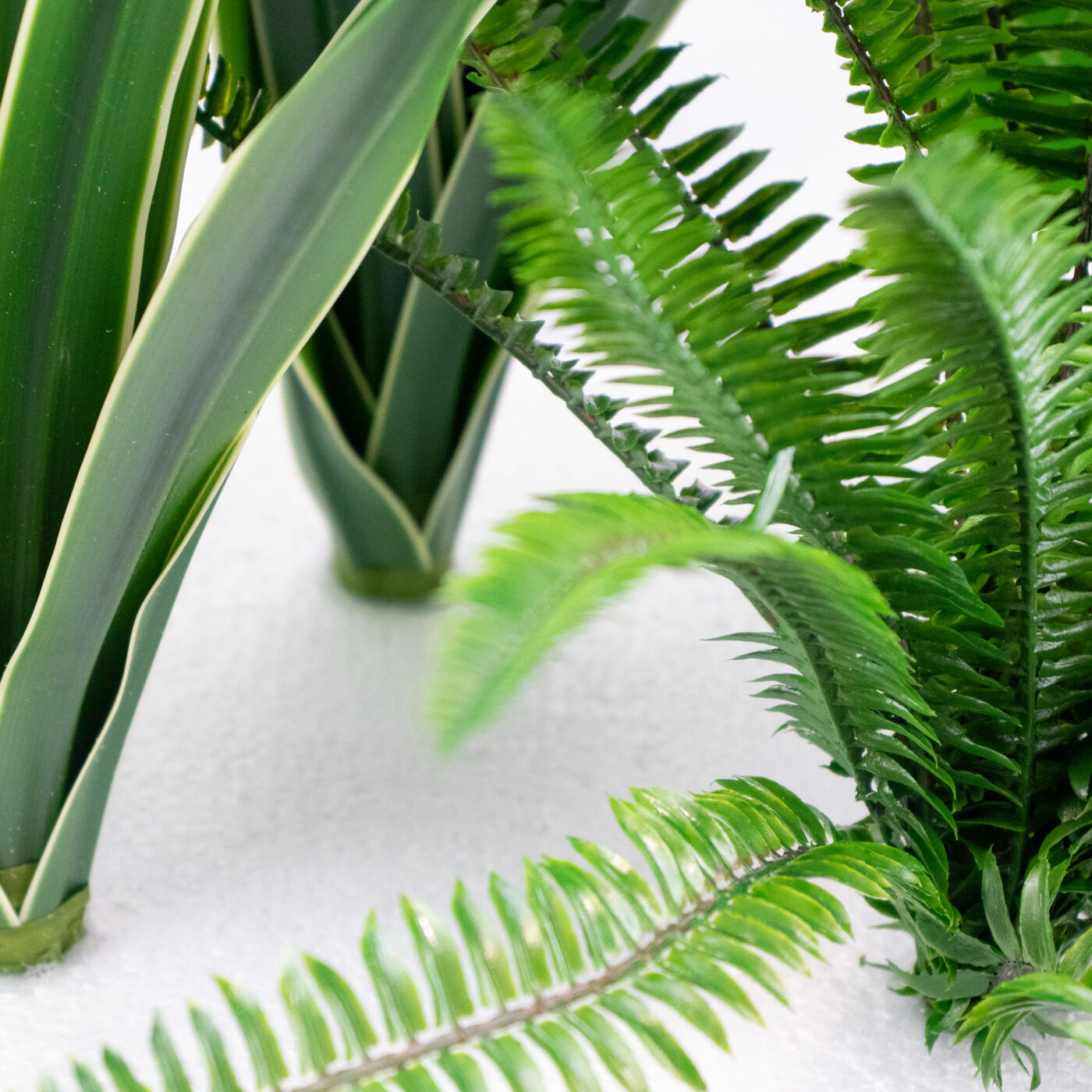 MIXED PLANTS IN POLY TRAY PER METER - Image 4