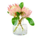 PROTEA MAUVE IN JAR VASE