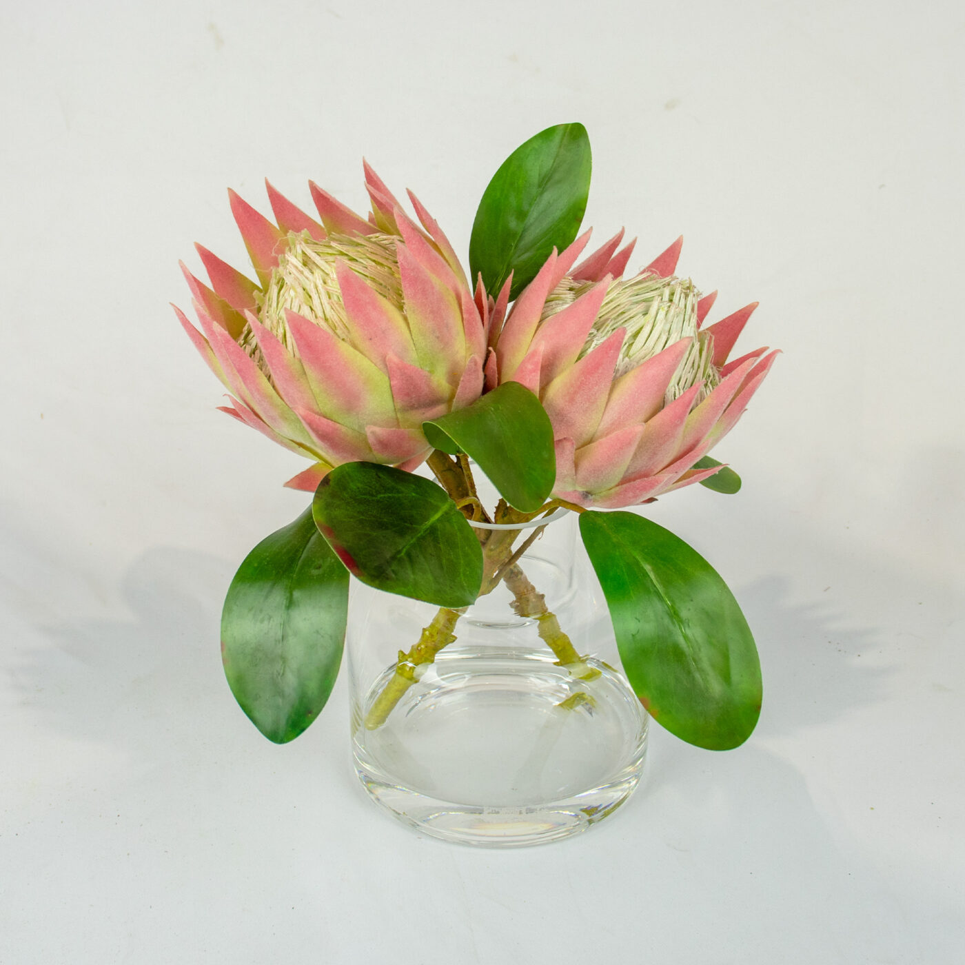 PROTEA MAUVE IN JAR VASE