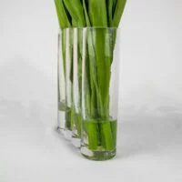 TULIPS YELLOW AND PINK IN RECTANGULAR GLASS VASE