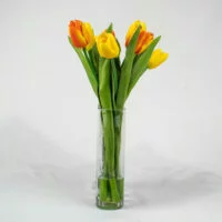 TULIPS YELLOW AND PINK IN RECTANGULAR GLASS VASE