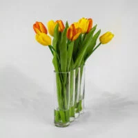 TULIPS YELLOW AND PINK IN RECTANGULAR GLASS VASE