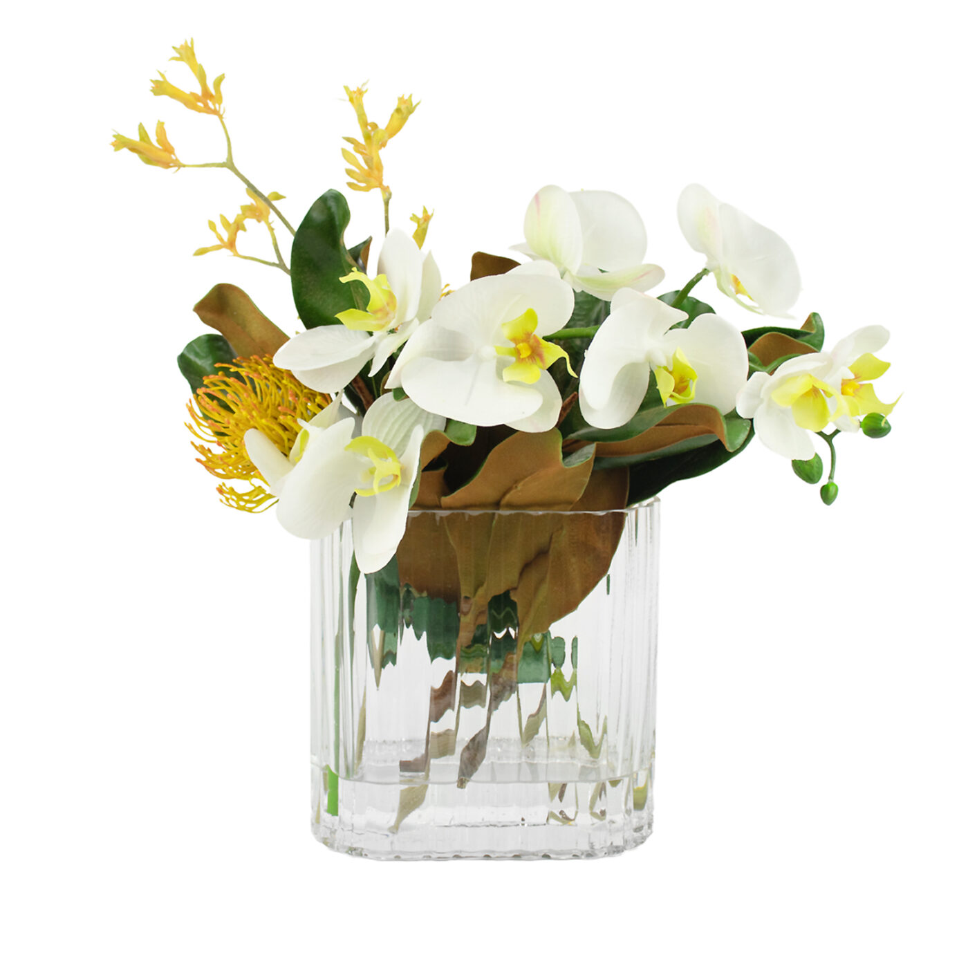 White Phalaenopsis orchid with Leucadendron arrangement