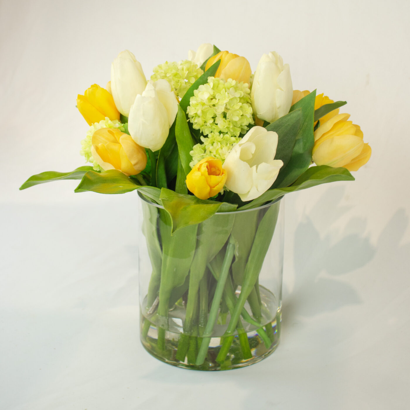 TULIPS YELLOW AND WHITE SNOWBALL IN CYLINDER VASE
