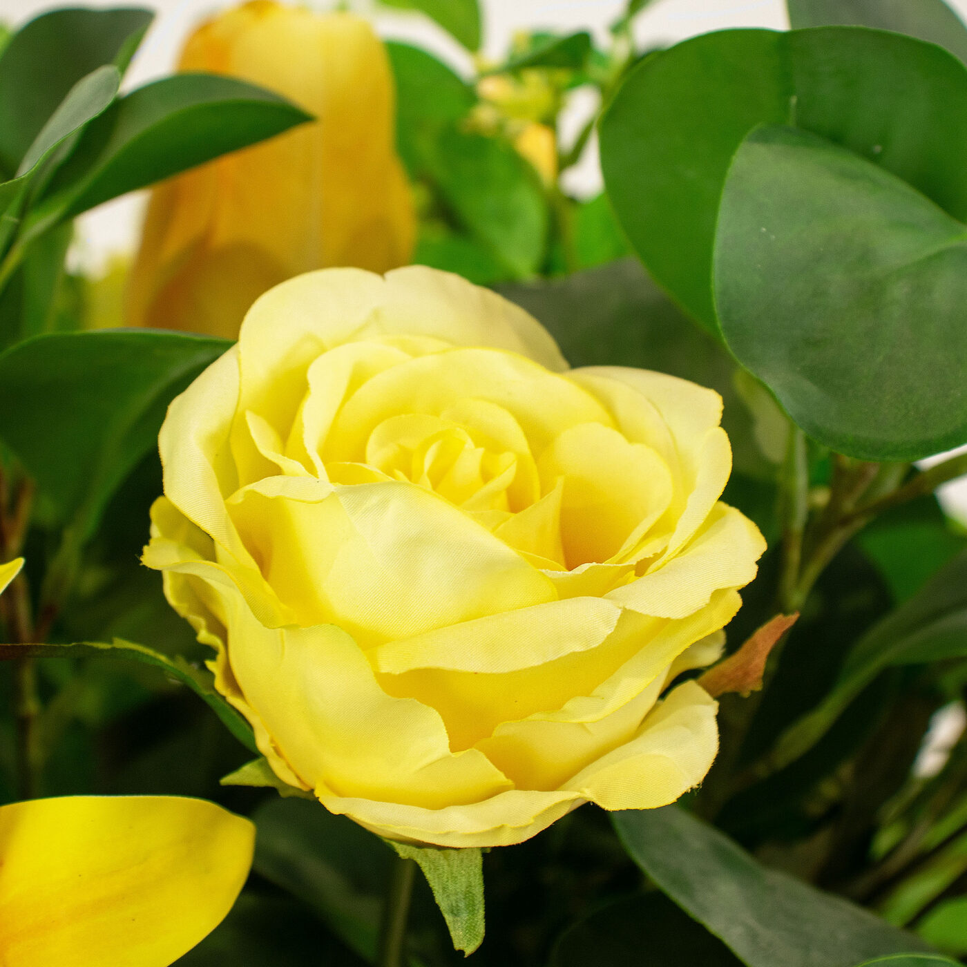 LILY RANUNCULUS ROSE ORANGE AND YELLOW IN GLASS VASE