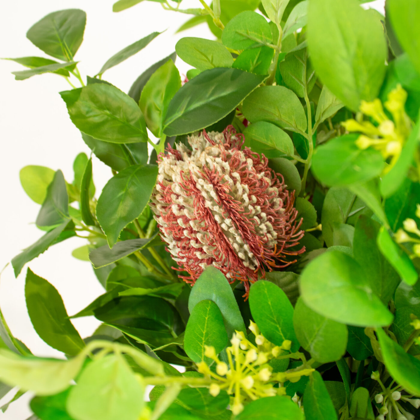 BANKSIA FUCHSIA WITH FOLIAGE IN GLASS VASE