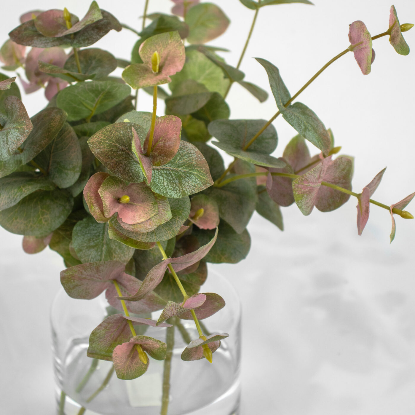 EUCALYPTUS LEAVES IN SMALL JAR VASE