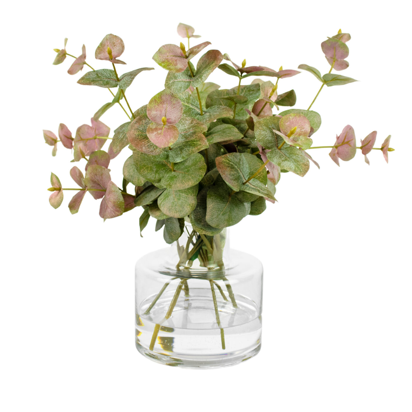 EUCALYPTUS LEAVES IN SMALL JAR VASE