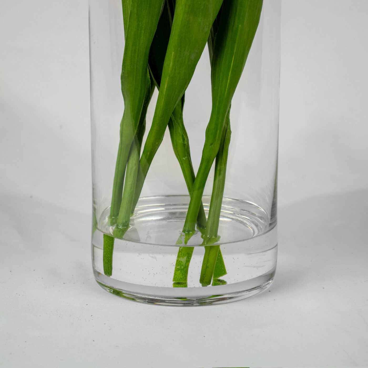 TULIPS ORANGE IN 40CM CYLINDER VASE