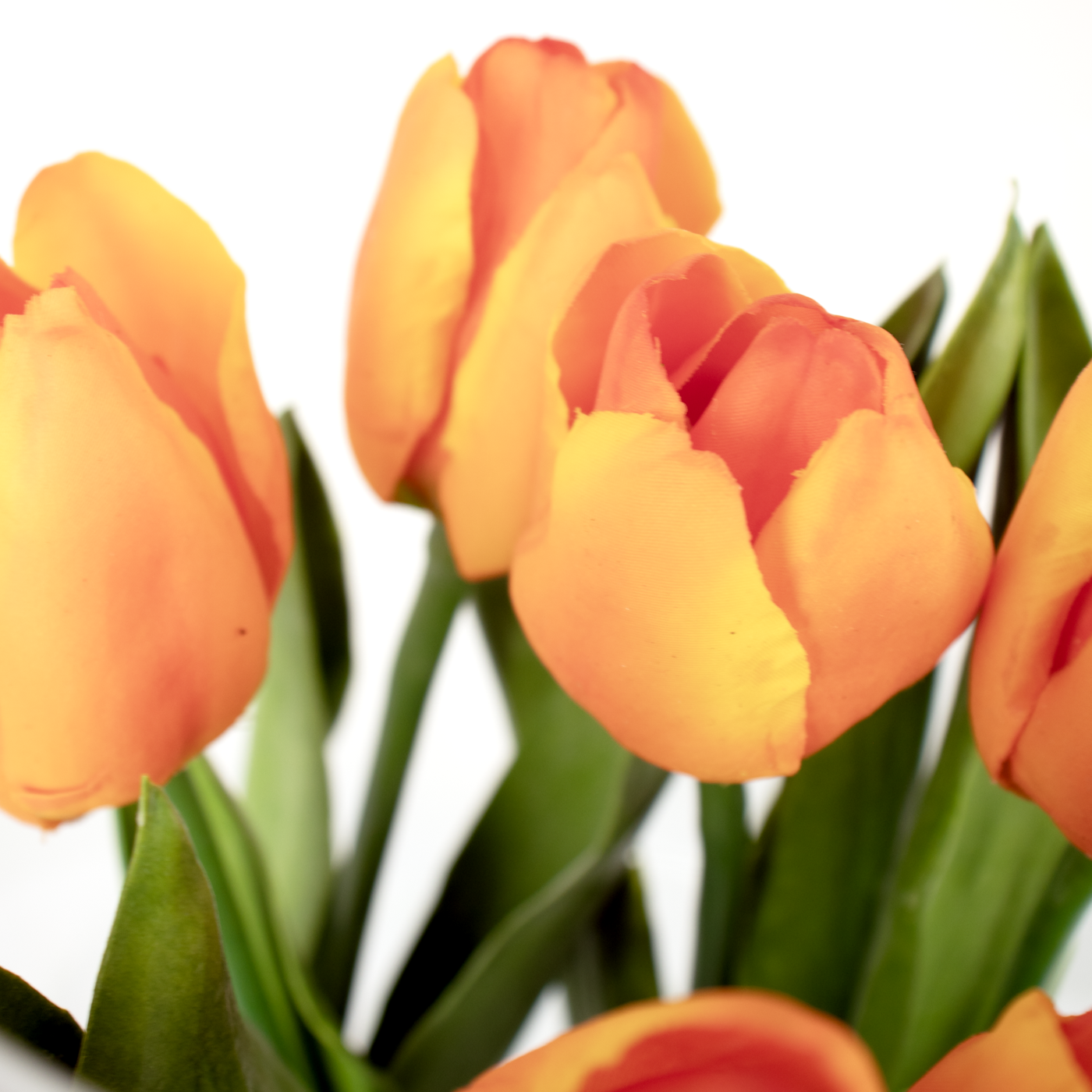 TULIPS ORANGE IN 40CM CYLINDER VASE