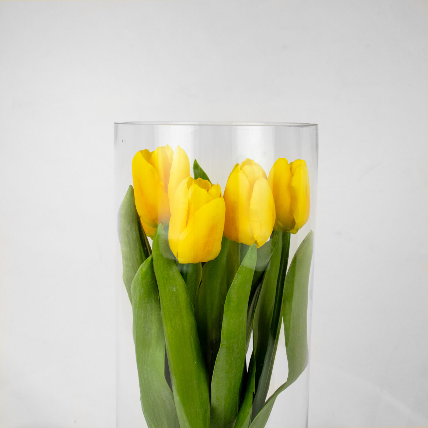 TULIPS YELLOW IN 40CM CYLINDER VASE