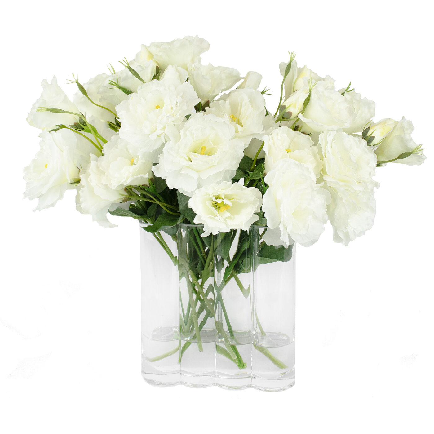 LISIANTHUS WHITE IN TUBULAR RECTANGLE VASE
