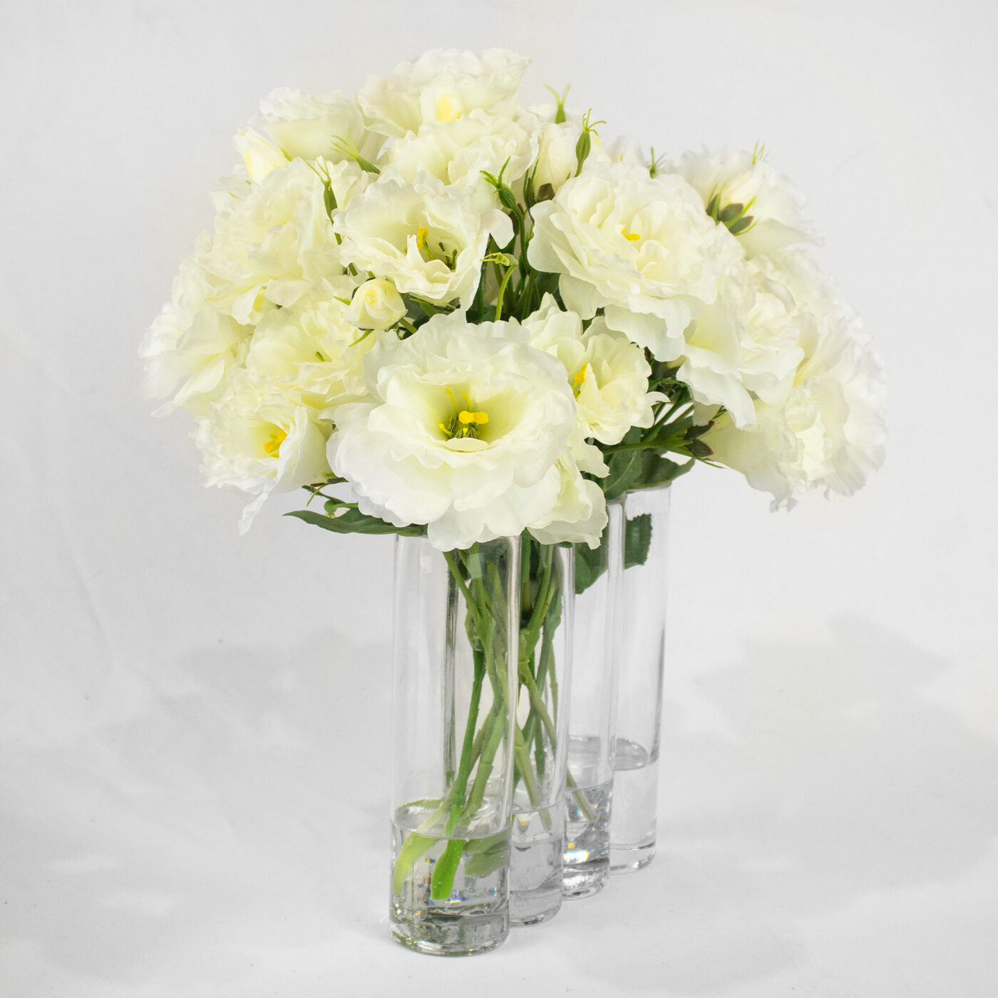 LISIANTHUS WHITE IN TUBULAR RECTANGLE VASE