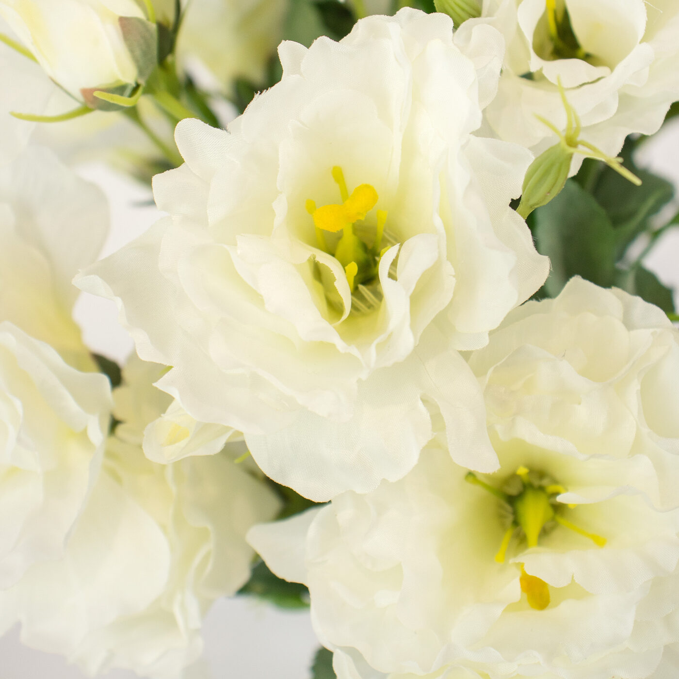 LISIANTHUS WHITE IN TUBULAR RECTANGLE VASE