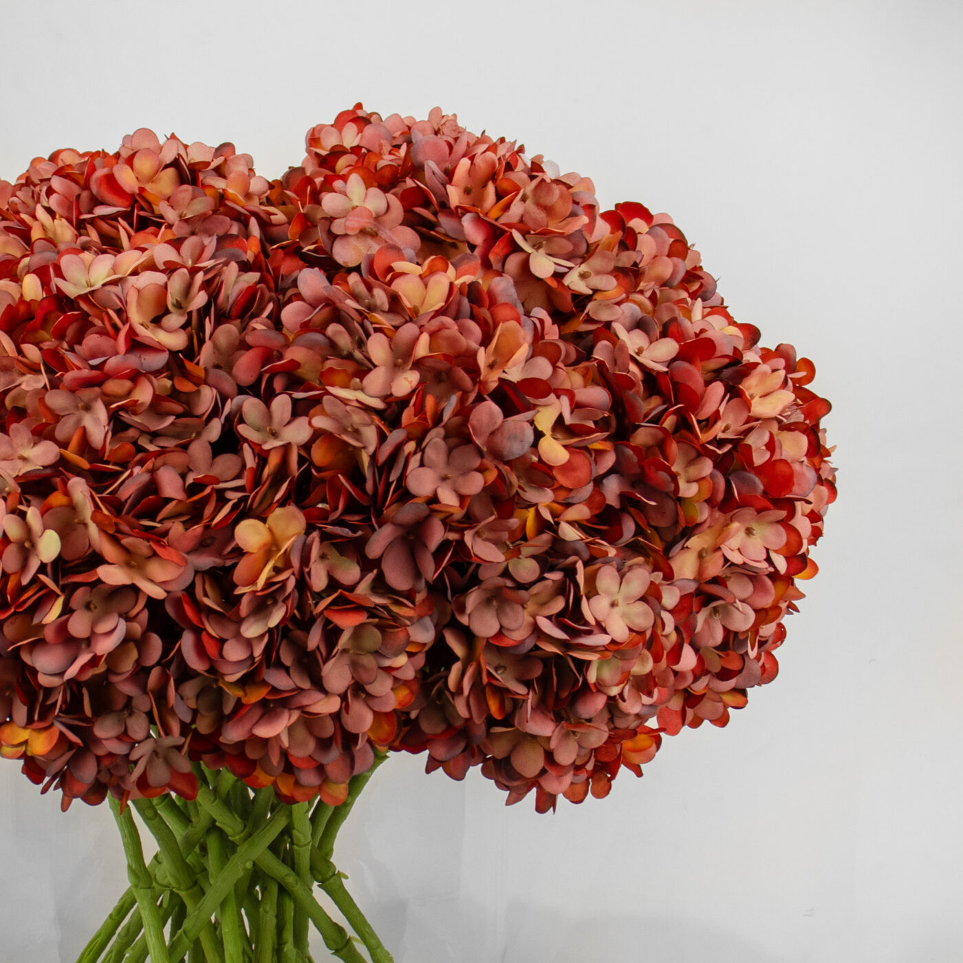 HYDRANGEA ORANGE IN LARGE CYLINDER VASE