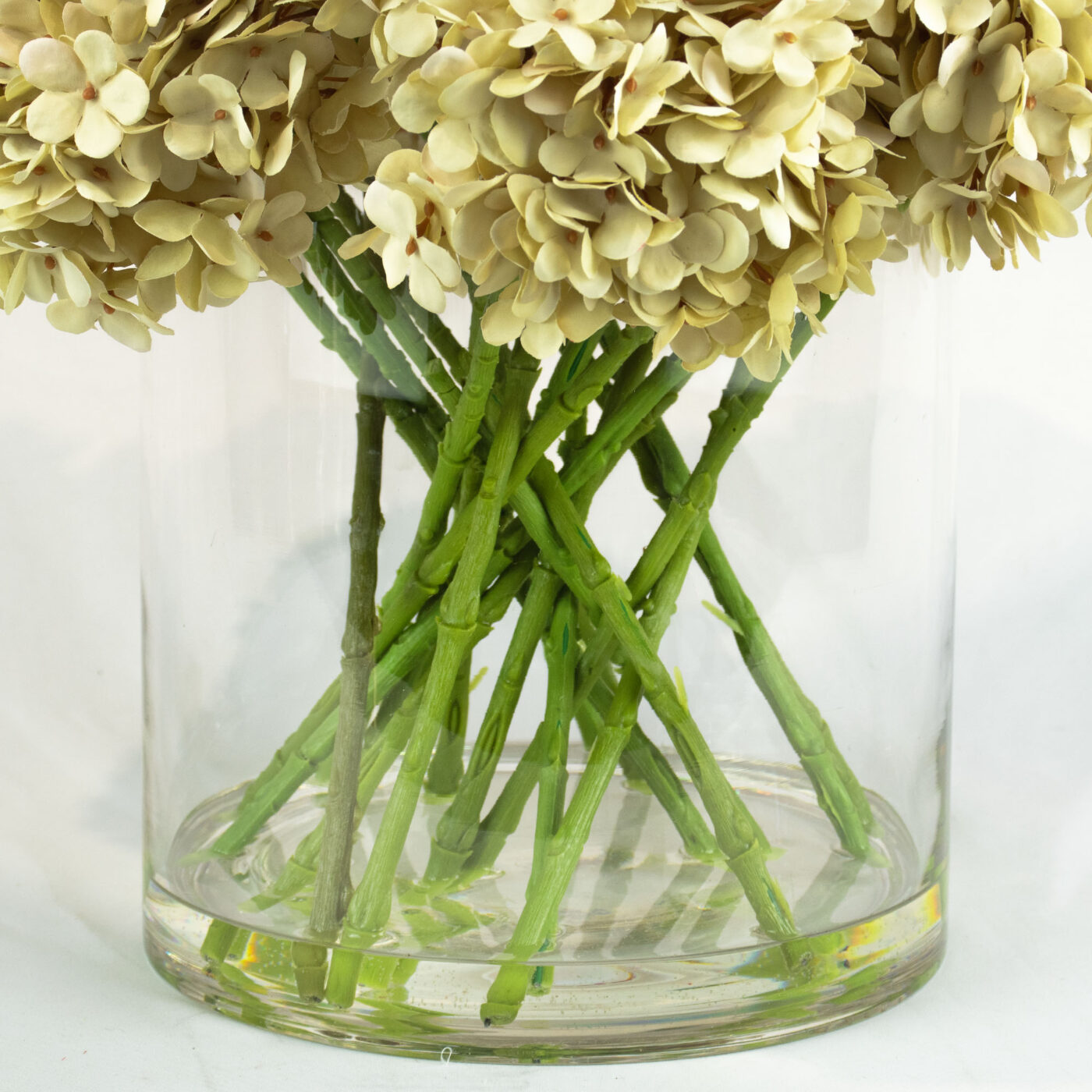 HYDRANGEA CREAM IN LARGE CYLINDER VASE