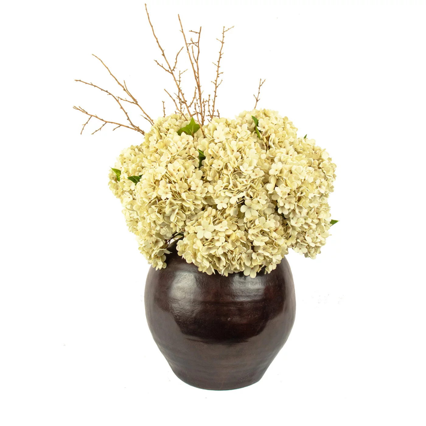 HYDRANGEA DRY CREAM IN CAESAR POT BROWN