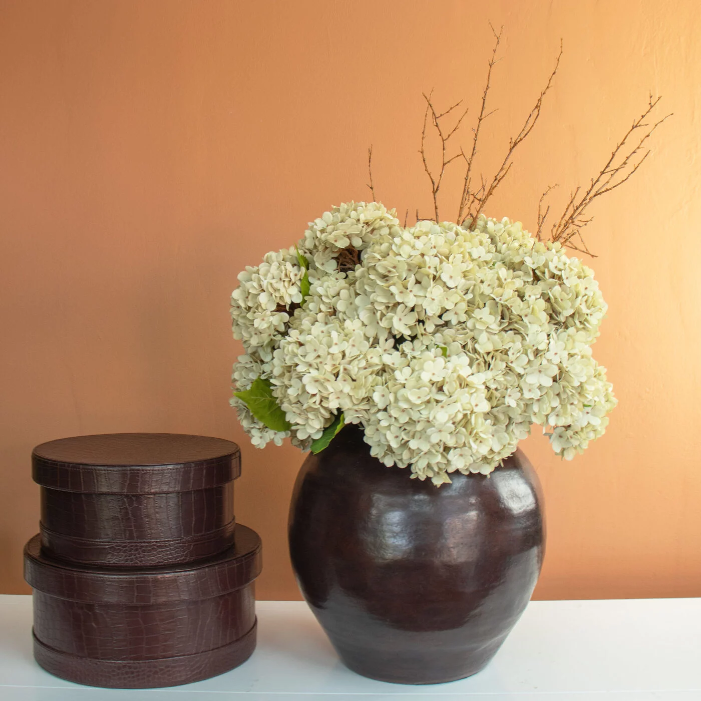 HYDRANGEA DRY CREAM IN CAESAR POT BROWN