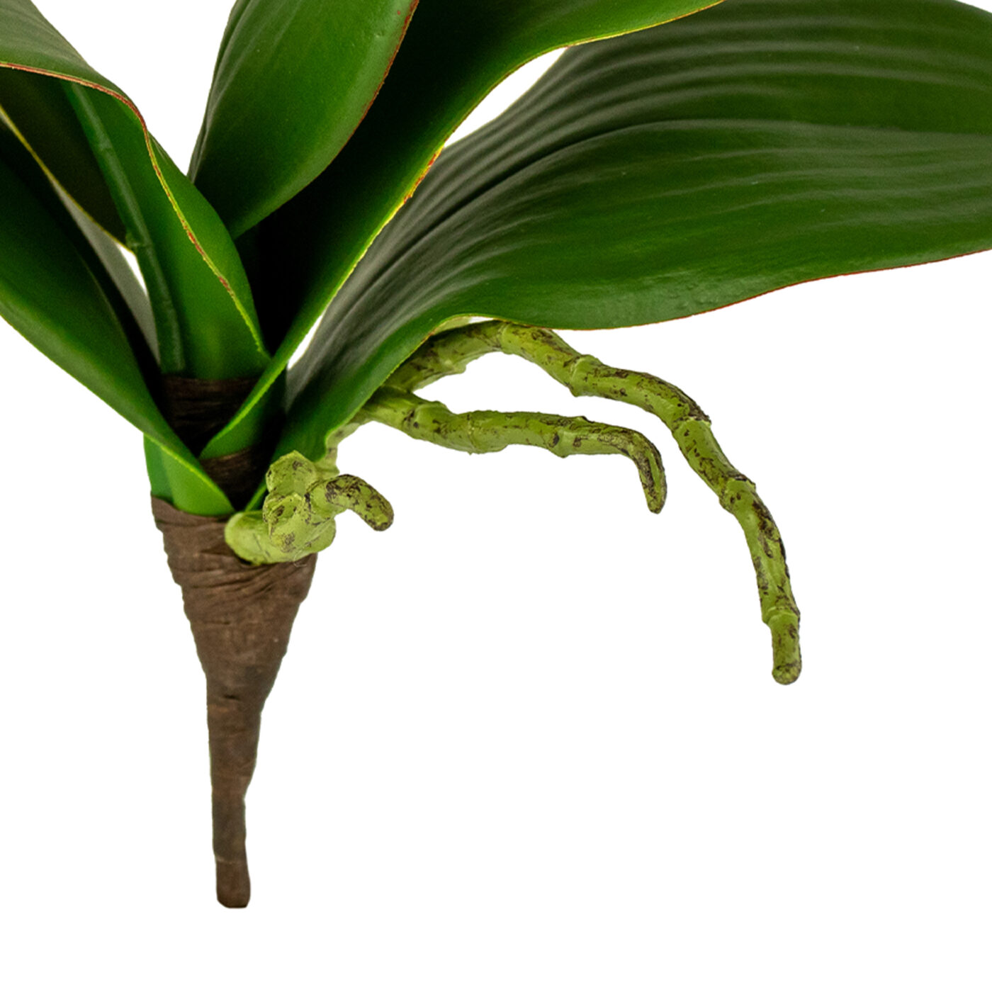 PHALAENOPSIS ORCHID LEAF PICK 9.5" GREEN