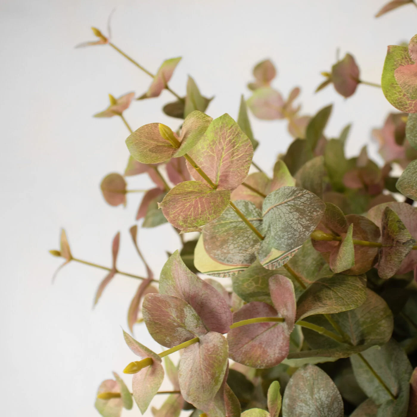 EUCALYPTUS SPRAY GREEN RED IN WHITE PLANTER