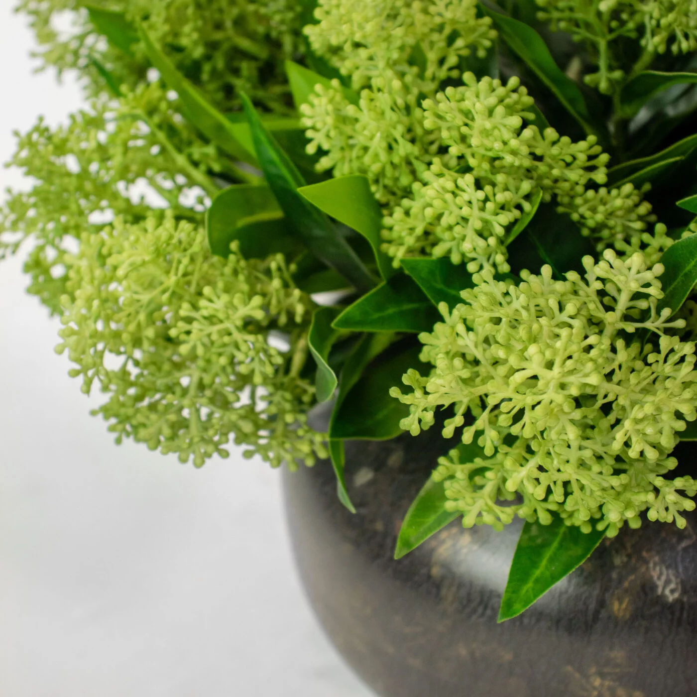 SEEDED LEAF IN TIN VASE