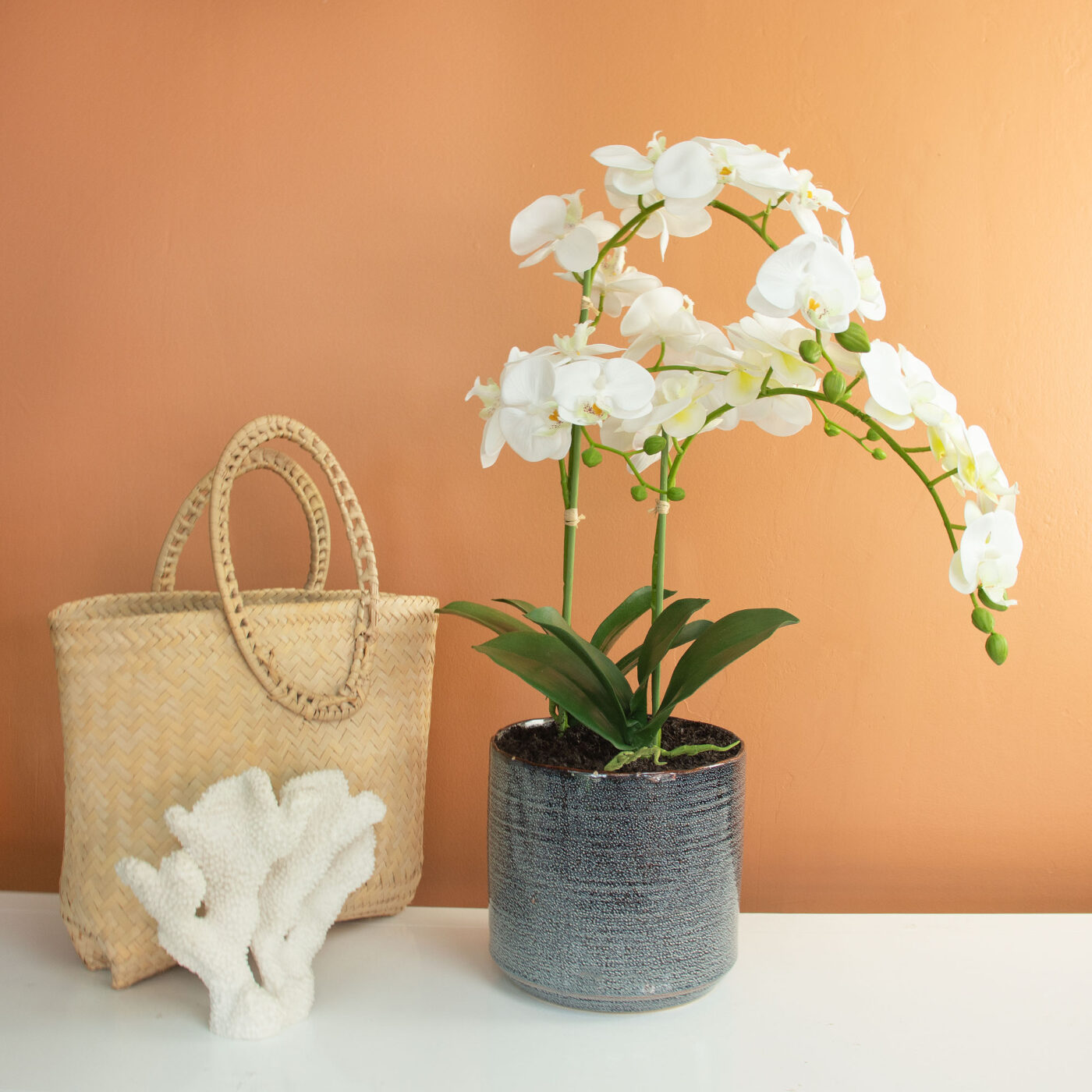 PHALENOPSIS WHITE IN GREY CERAMIC PLANTER