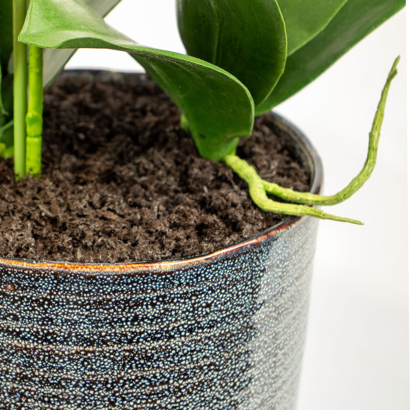 PHALAENOPSIS WHITE IN GREY CERAMIC PLANTER