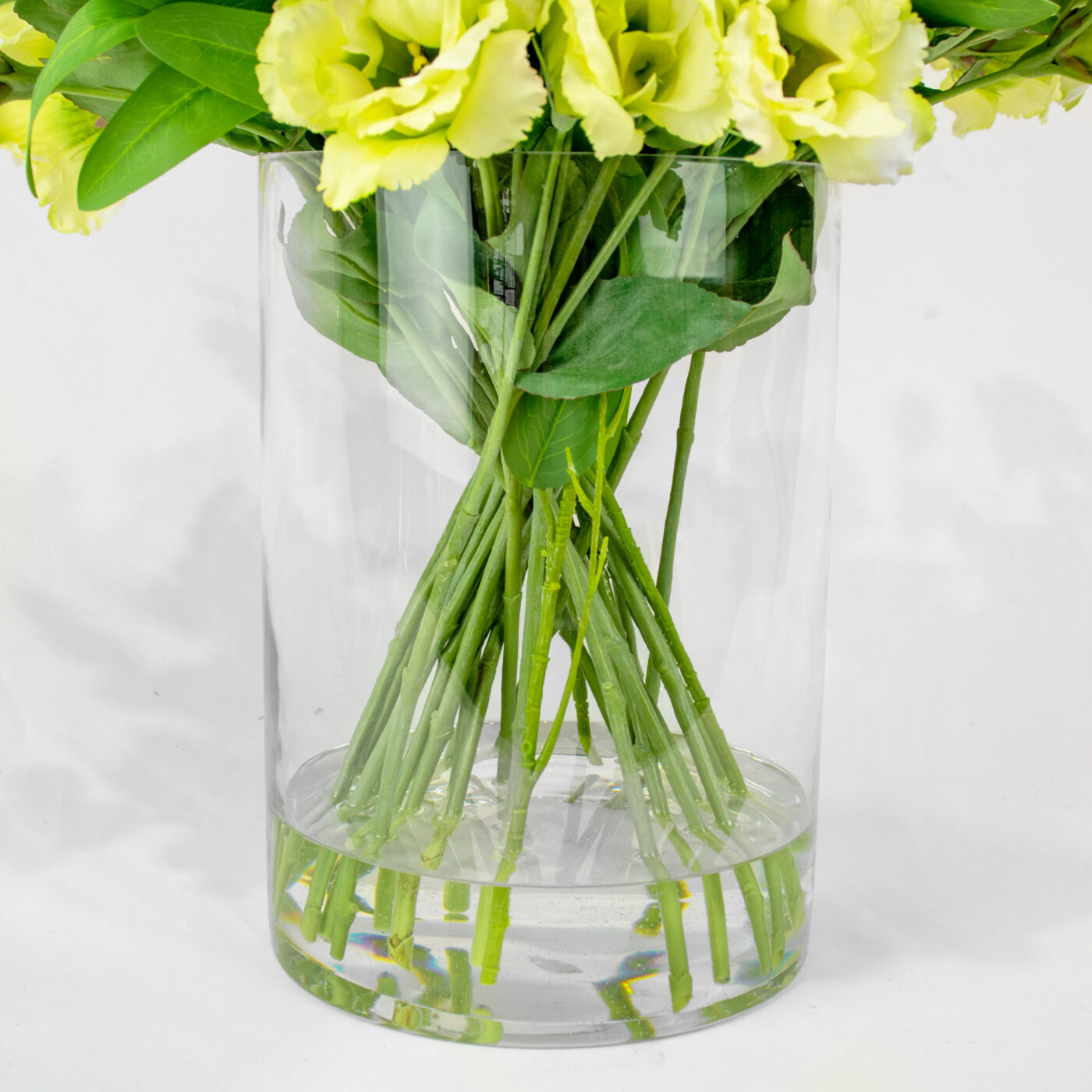 LISIANTHUS LIME IN 30CM CYLINDER VASE
