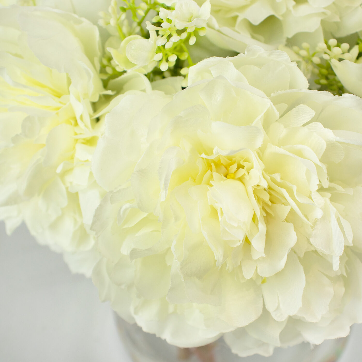 PEONY WHITES IN TULIP VASE